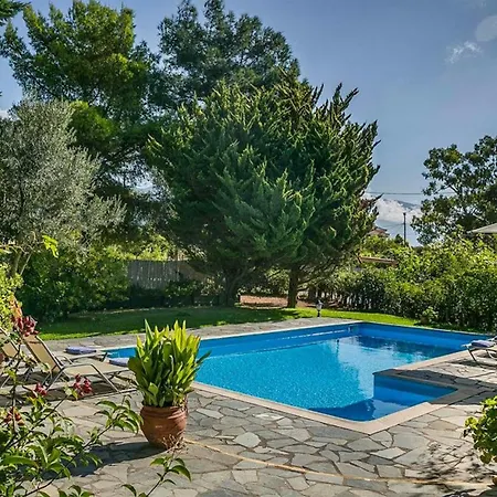 Modern Kefalonia - Private Pool & Gardens - Ac - Lakithra Xenia Vilă